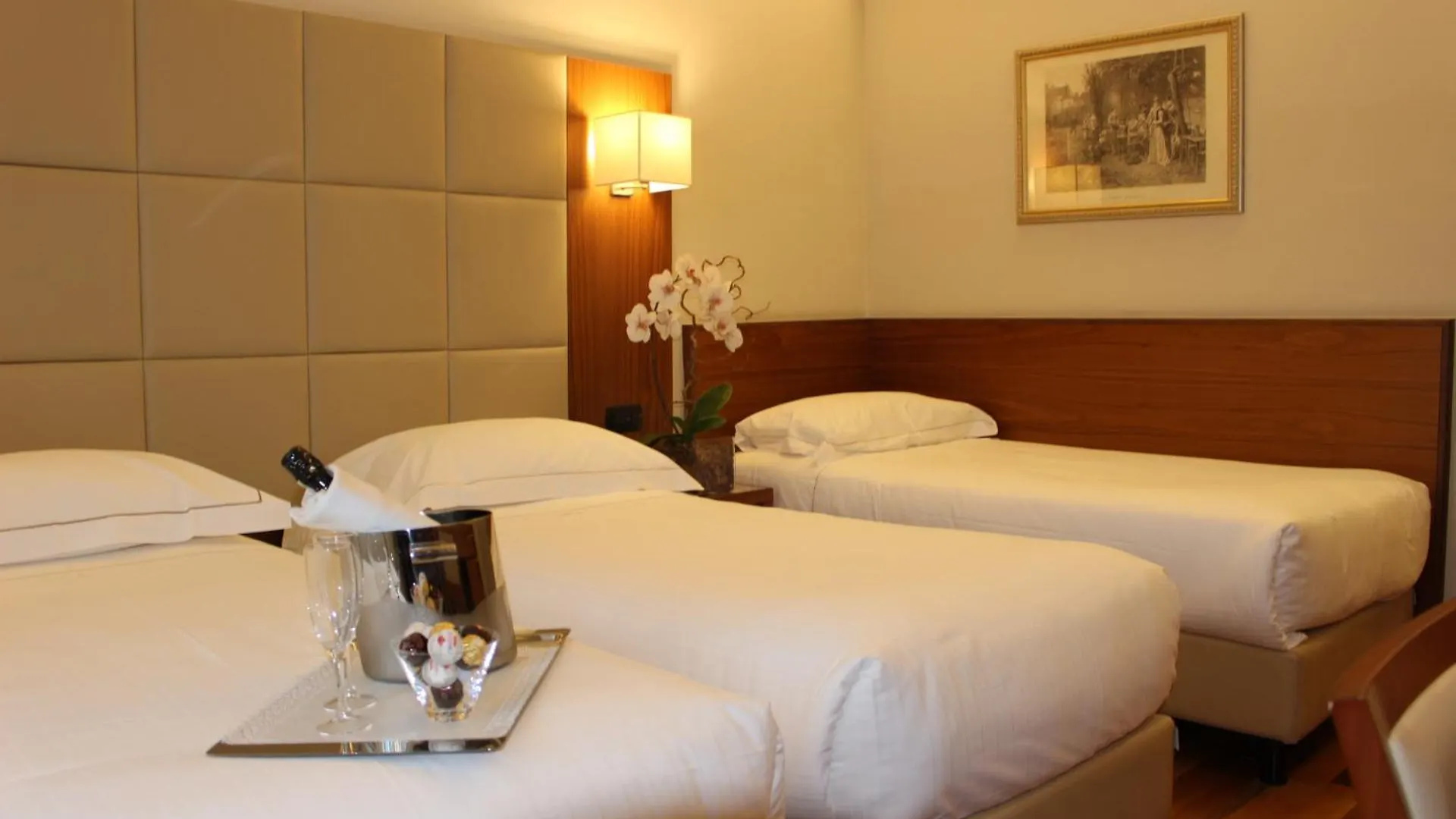 Hotel Fenice Милан